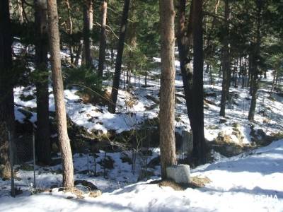 Camino Schmidt - Sierra de Guadarrama; senderismo a medida; Caminata rápida; power walking